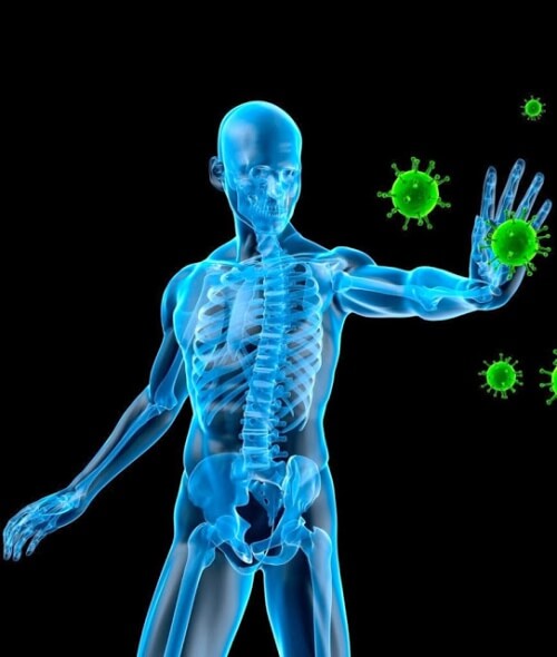 Immunsystem-Illustration