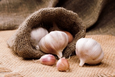 Mit Knoblauch Cholesterinwerte senken?