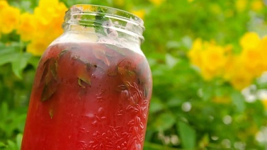 Mixgetränk aus Wassermelone -390x219