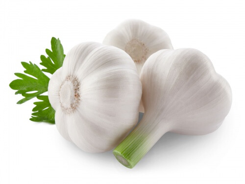 knoblauch