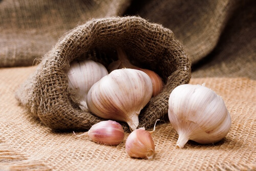 Knoblauch Pflegetipps