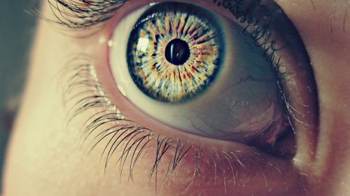 7 erstaunliche Aspekte über unsere Pupillen
