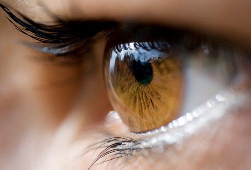 Auge in Großaufnahme