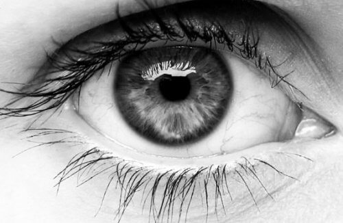 Das-menschliche-Auge