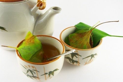 Gingko-Biloba