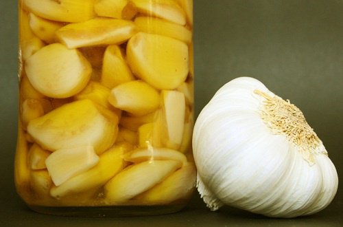 Knoblauch-Parasiten