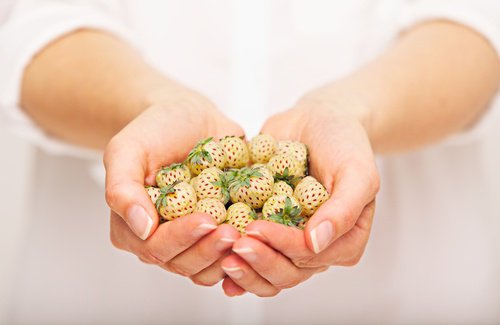 Pineberries