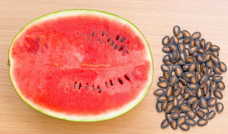Nierenreinigung mit Wassermelonenkernen