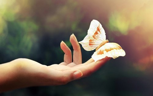 Frauenhand trägt Schmetterling