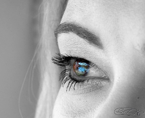 Auge
