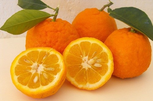 Orangen
