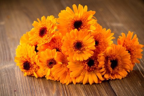 Blumen mit Zucker haltbar machen