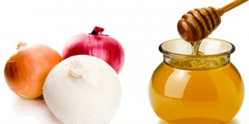 Zwiebeln und Honig für die Zwiebelkur gegen Haarausfall