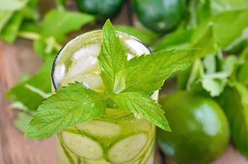 reinigendes-Detox-Wasser