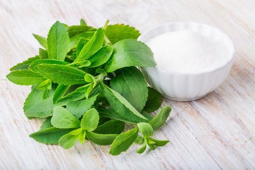 mit Stevia Zucker ersetzen