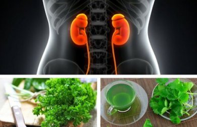 3 ausgezeichnete Tees für die Gesundheit der Nieren
