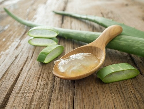 Aloe Vera für schöne Haare