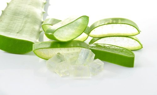 Aloe-Vera