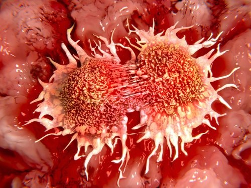 Krebszellen