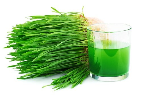 Chlorophyll kann für eine bessere Kalziumaufnahme