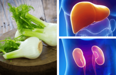 Fenchel kann Leber und Nieren gut tun