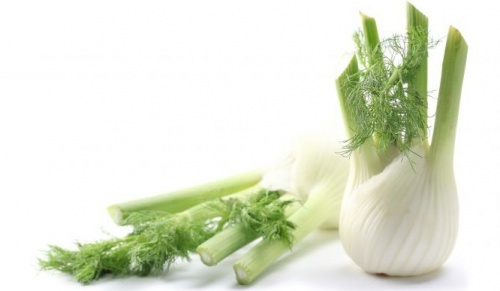 Fenchel