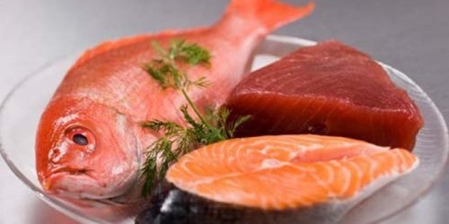 Fische und Meerestiere sind besonders hoch mit giftigen Schadstoffen belastet