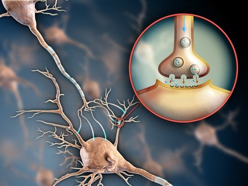 Nervensystem und Fibromyalgie