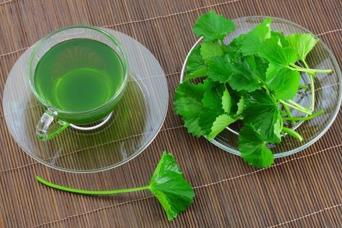 Petersilien-Tee für die Gesundheit der Nieren