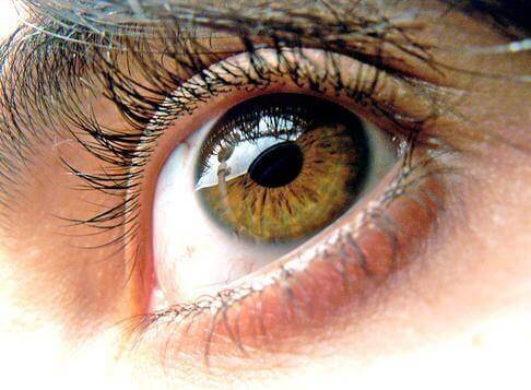 Hühnereier sind gut für die Augen