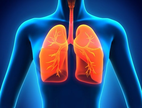 9 unentbehrliche Lebensmittel für gesunde Lungen