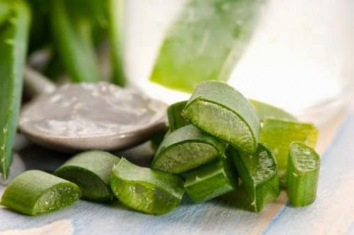 Aloe-Vera gegen Hämorrhoiden