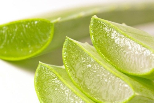 Aloe-vera-gegen-Verstopfung