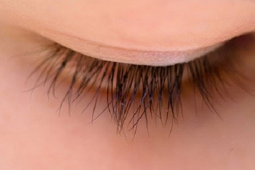Über Wimpern und das Wimpernwachstum