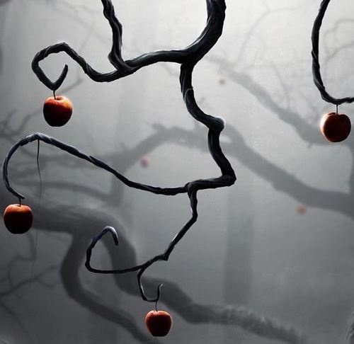 Baum