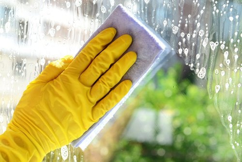 Glasreiniger aus Essig und Geschirrspülmittel