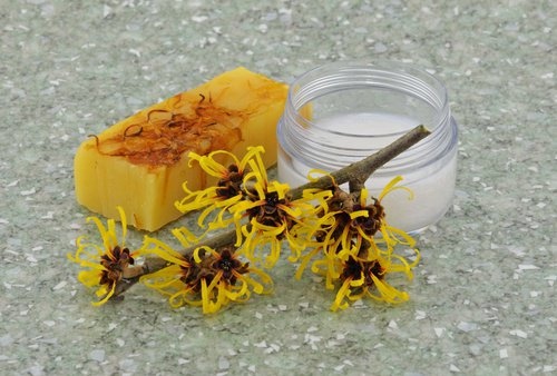 Hamamelis gegen Krampfadern