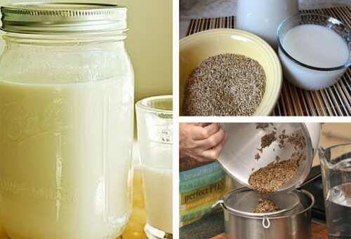 Kanariensaat-Milch – Warum solltest du sie einnehmen? Kanariensaat-Milch – Warum solltest du sie einnehmen?