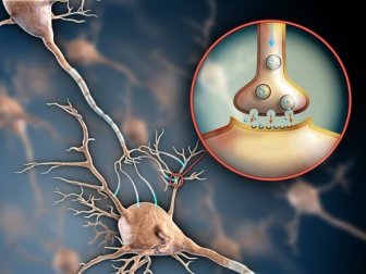 5 Tipps für ein stabiles Nervenkostüm und gute Denkleistung