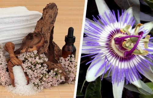 Passionsblume