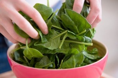 10 Fakten über Spinat die du sicher noch nicht kennst