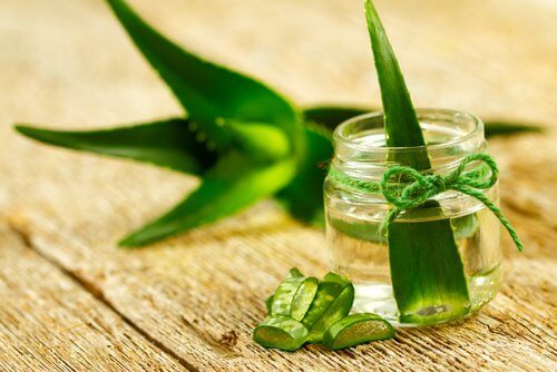 Aloe-Vera für raue Ellenbogen