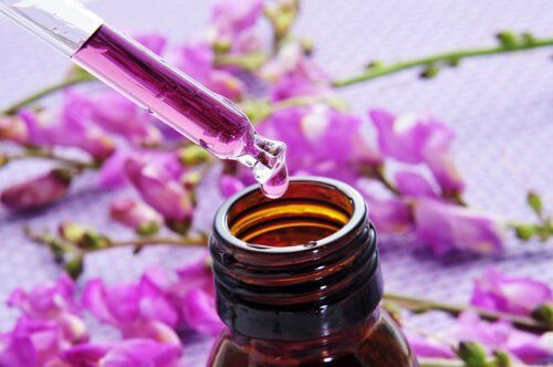 Wie Bachblüten bei Stress und Überlastung helfen könnten