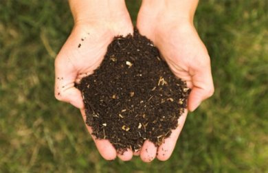 5 ökologische Düngemittel, um deine Pflanzen zu ernähren