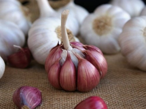Knoblauch