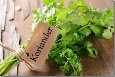 Koriander: Gewürz mit Heilwirkung
