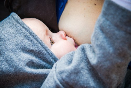 Karotten für eine gute Muttermilch