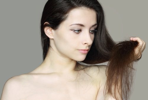 Olivenöl für trockene Haare