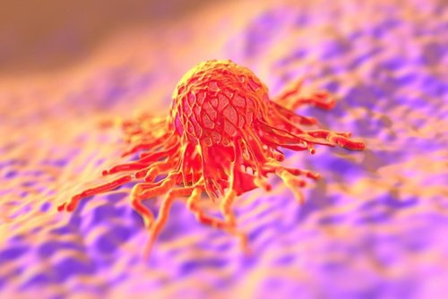 Papillomvirus im Itimbereich