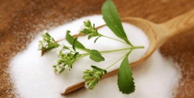 Stevia - Süßstoff für Diabetiker